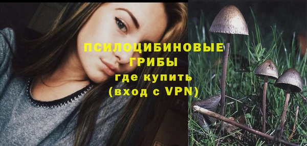 соль ск Алзамай