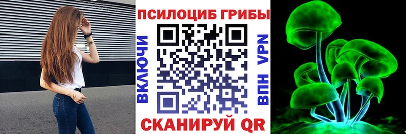 Галлюциногенные грибы Psilocybe Барыш